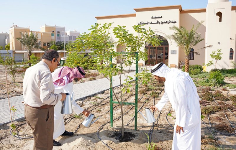 الأوقاف السنية تشارك في فعاليات أسبوع الشجرة