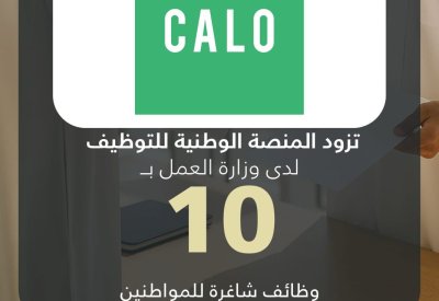 كالو للخدمات الإلكترونية تزود المنصة الوطنية للتوظيف بـ 10 وظائف شاغرة للمواطنين
