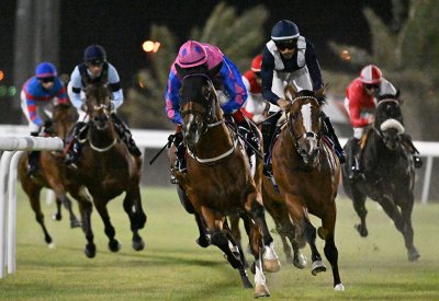 استعدادات مكثّفة وترقّب جماهيري لانطلاقة موسم سباقات الخيل 2025/2026