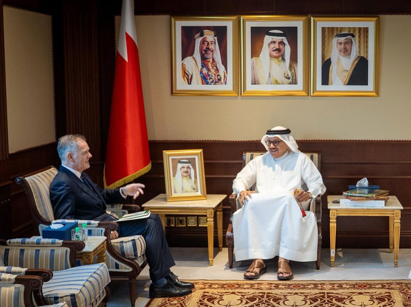 وزير الخارجية يستقبل المدير التنفيذي للمعهد الدولي للدراسات الاستراتيجية في الشرق الأوسط