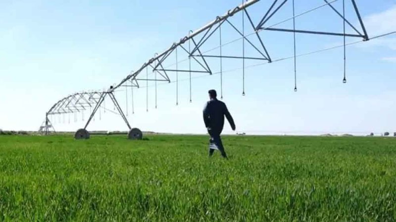 العراق يقر خطة زراعية جديدة تعتمد على المياه الجوفية والري الحديث