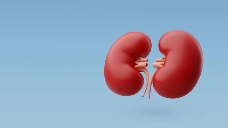 8 وصفات طبيعية لإزالة السموم ودعم وظائف الكلى