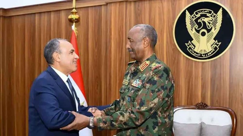 مصر تدين "فظائع الفاشر" وتؤكد دعمها الكامل لاستقرار السودان