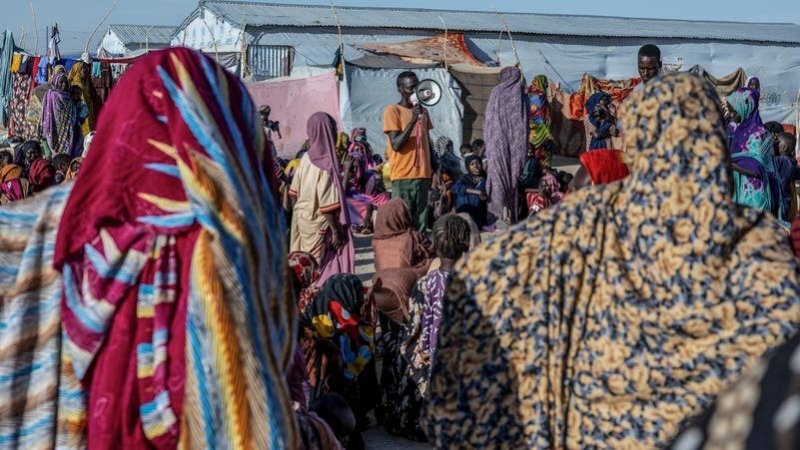 الجيش السوداني يتصدى لمسيرات الدعم السريع شمالي البلاد