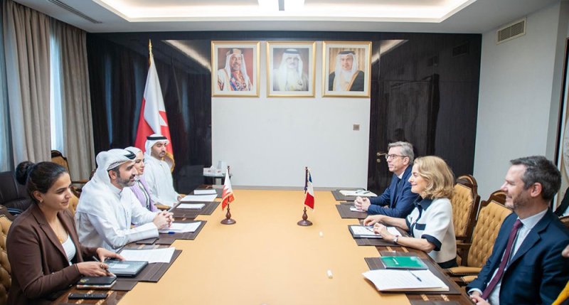 رئيس قطاع المنظمات بوزارة الخارجية يستقبل وفدًا من وزارة أوروبا والشؤون الخارجية بالجمهورية الفرنسية