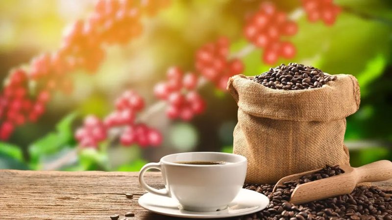 أسعار البن تهبط عالمياً عقب إلغاء ترامب الرسوم الجمركية على البرازيل