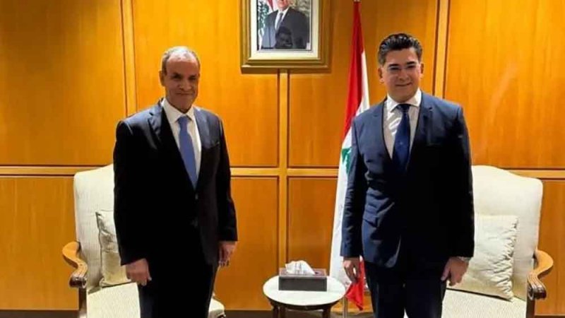 مصر: لبنان ركيزة في أمن المنطقة ولابد من تطبيق القرار 1701