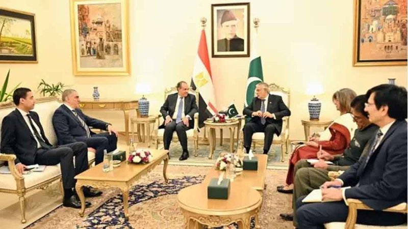مصر وباكستان تبحثان تعزيز الربط بين قناة السويس وميناء جوادر