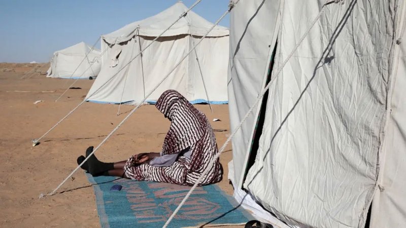 الجيش السوداني: أحبطنا هجوماً جديداً للدعم السريع على مدينة بابنوسة