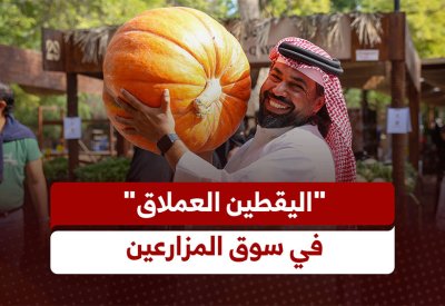 بالفيديو: "اليقطين العملاق" في سوق المزارعين