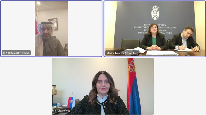رئيس قطاع المنظمات بـ "الخارجية" يجتمع مع مدير إدارة شؤون الأمم المتحدة وأجهزتها المتخصصة بوزارة خارجية صربيا