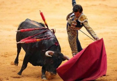 المكسيك تحظر مصارعة الثيران بعد 500 عام من التقليد