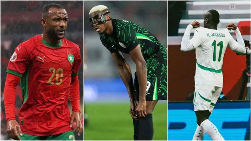"الكائنات البرية" تسيطر على منتخبات كأس إفريقيا