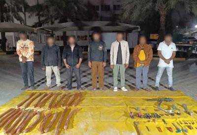 المباحث والأدلة الجنائية: القبض على عدد من الآسيويين لتورطهم بسرقة كابلات كهربائية تقدر قيمتها بـ 60 ألف دينار
