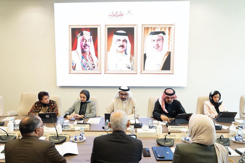 برئاسة النائب أحمد السلوم.. "مالية النواب" تناقش البيانات المالية المدققة لحساب التأمين ضد التعطل