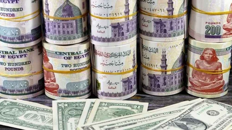 تراجع طفيف للجنيه المصري والدولار الأميركي يسجل هذا المستوى