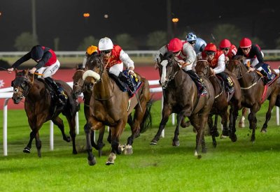 جوائز نقدية لجمهور السباق الثالث عشر للخيل ومشاركة كبيرة على كؤوس شركة stc البحرين