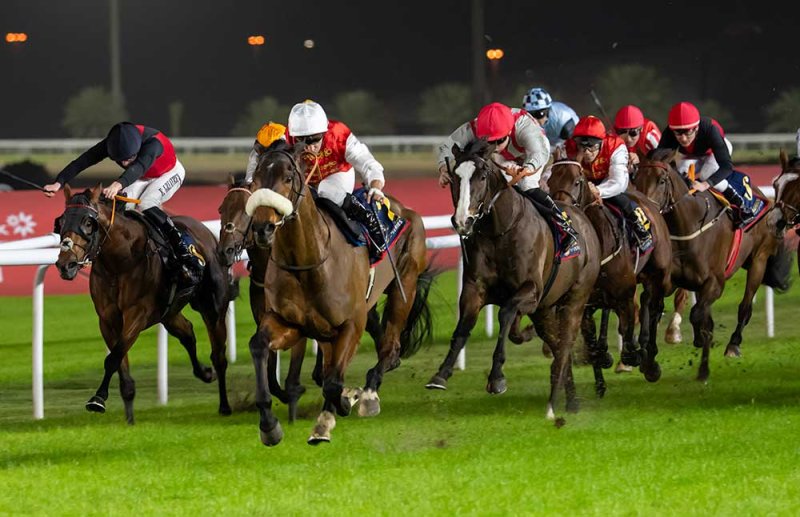 جوائز نقدية لجمهور السباق الثالث عشر للخيل ومشاركة كبيرة على كؤوس شركة stc البحرين