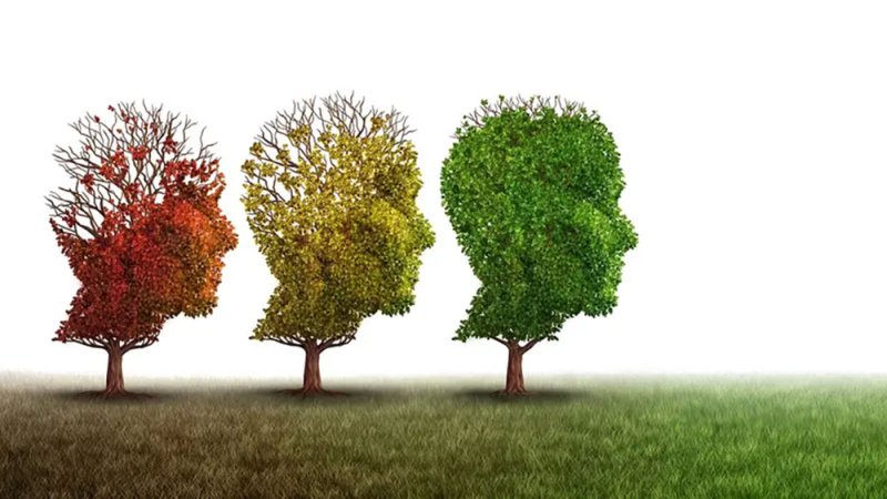 علمياً.. الدماغ يعيد تشغيل نفسه في 4 مراحل عمرية