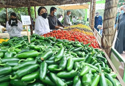 الأمن الغذائي في البحرين: من سباق الاكتفاء إلى إدارة المخاطر