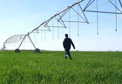 العراق يعلن عن إجراءات جديدة لتنظيم الاستيراد وحماية المنتج المحلي