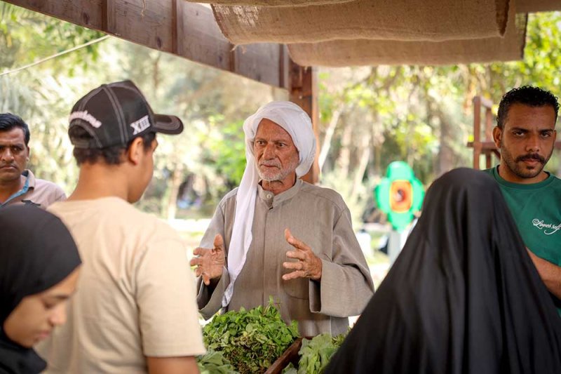 السيد باقر.. من صبي في الحقول براتب 10 دنانير إلى شاهد على تاريخ الزراعة
