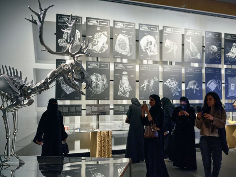 افتتاح معرض “من الأرض: من تكنولوجيات أرضية إلى بيولوجيات حاسوبية”