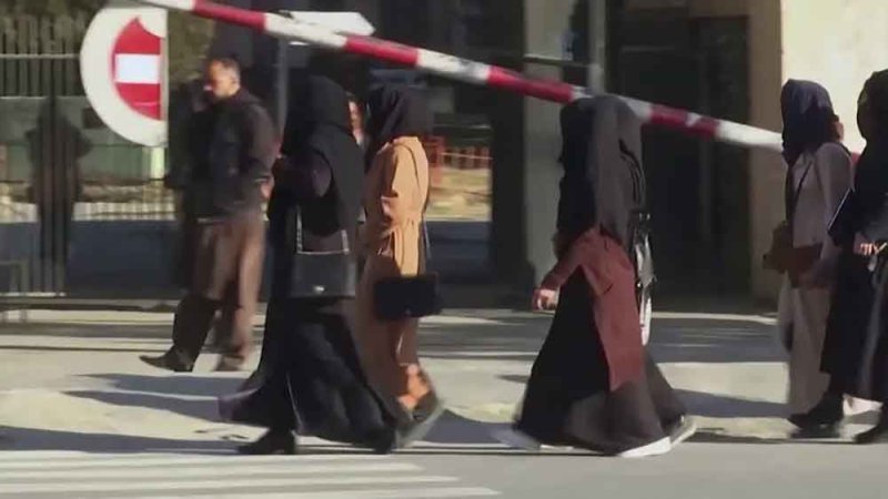 طالبان أفغانستان تشدد القيود على الحياة العامة في هرات