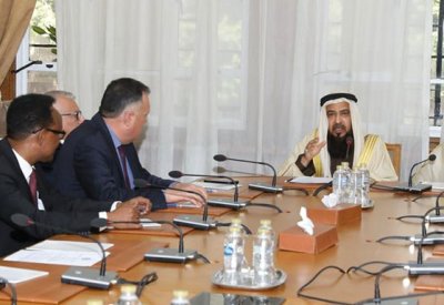 المعاودة نائبًا لرئيس لجنة الشؤون الخارجية والسياسية بالبرلمان العربي
