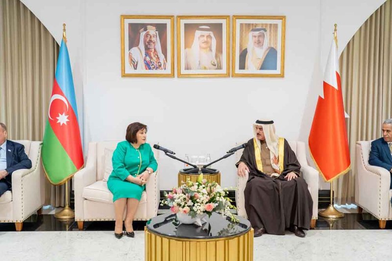 رئيس مجلس النواب يستقبل رئيسة الجمعية الوطنية بجمهورية أذربيجان