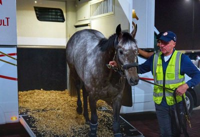 نادي راشد يطلق أول مبادرة وطنية لتعويض الانبعاثات في نقل خيل كأس البحرين الدولي