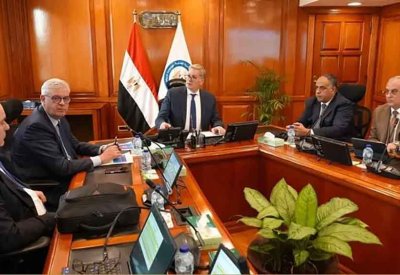 مصر تدرس إطلاق مشروع مشترك مع "تكنيب إنرجيز" الفرنسية