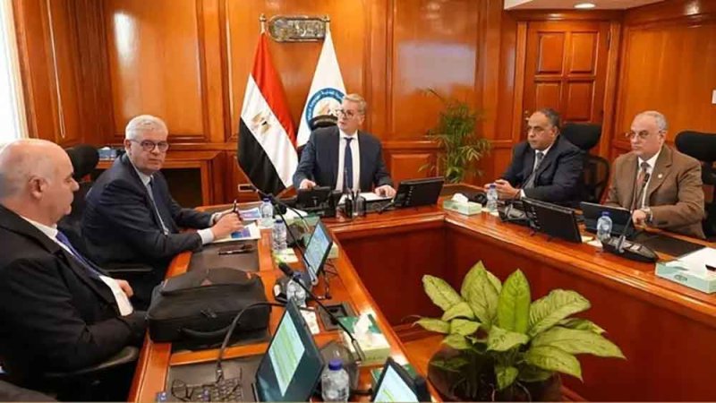 مصر تدرس إطلاق مشروع مشترك مع "تكنيب إنرجيز" الفرنسية