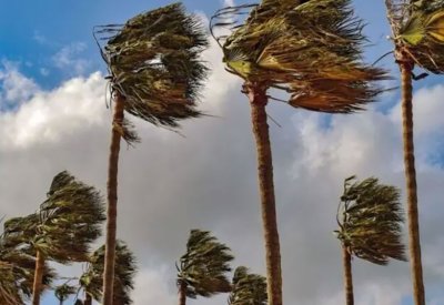 الجزائر.. توقيف الدراسة وتعليق رحلات جوية إثر رياح عاتية