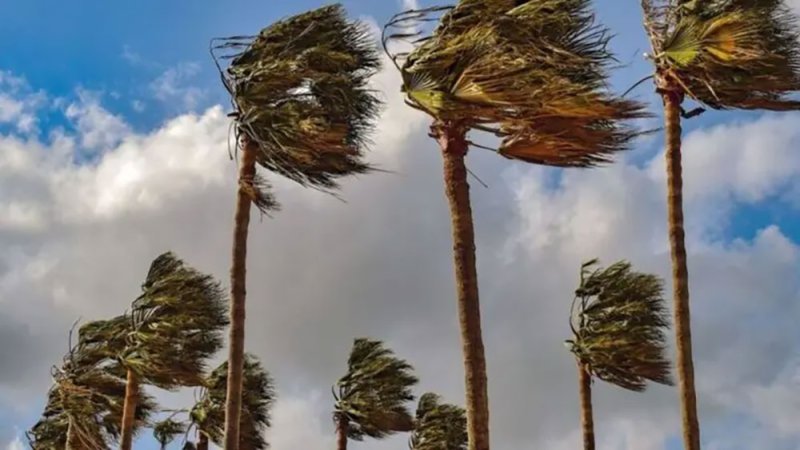 الجزائر.. توقيف الدراسة وتعليق رحلات جوية إثر رياح عاتية