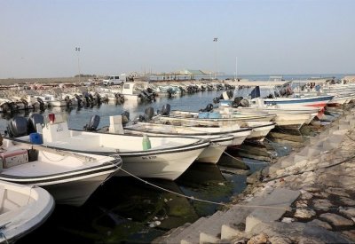 تشديد الرقابة على العمالة الأجنبية بصيد الأسماك
