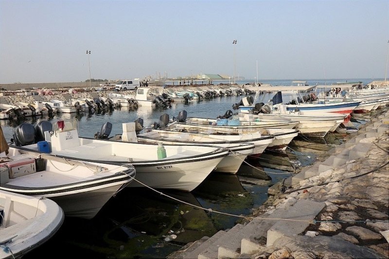تشديد الرقابة على العمالة الأجنبية بصيد الأسماك
