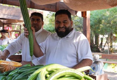 الطماطم تتصدر المنتجات المحلية في سوق المزارعين بإجمالي 212 طنًا من الخضروات حتى الأسبوع التاسع