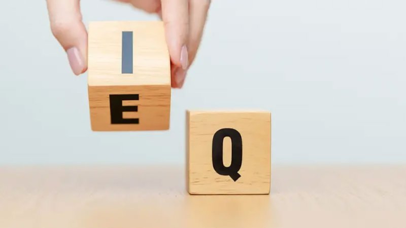 المرحلة الثالثة للذكاء البشري.. "AQ" المهارة الأكثر إلحاحاً للنجاح