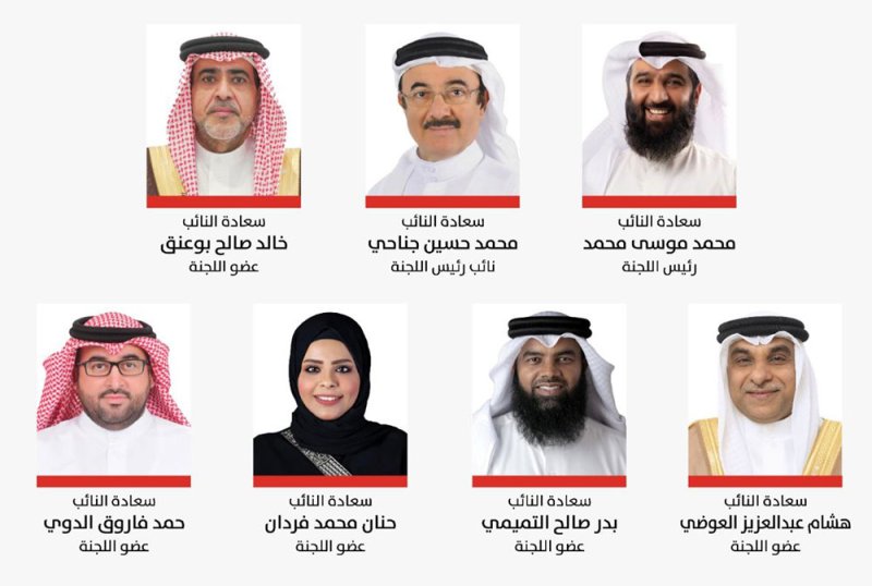 "مرافق النواب": ميثاق العمل الوطني وضع الأسس الراسخة لنجاحات التنمية المستدامة