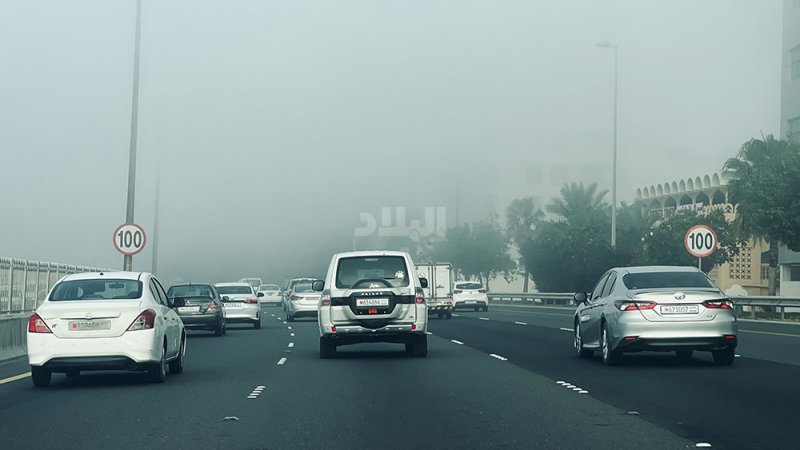 طقس الأربعاء بارد ورطب مع تشكل الضباب في بعض المناطق