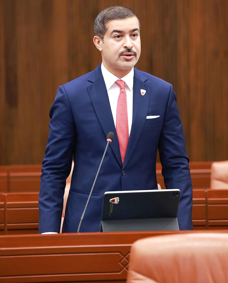 الشهابي: القوانين النافذة غير كافية لمواجهة الجرائم