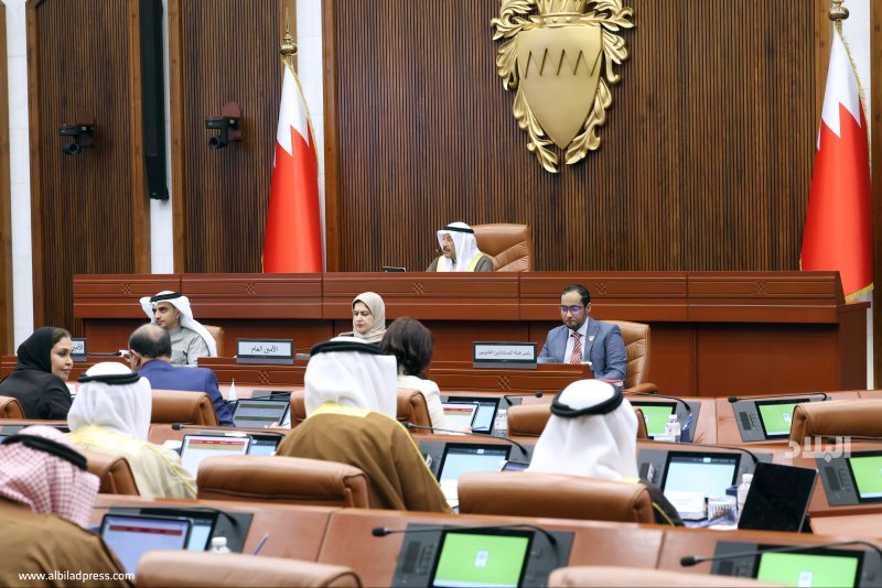 تشريعان أمام “الشورى” لتنظيم تحويل أرباح الشركات الحكومية إلى الميزانية