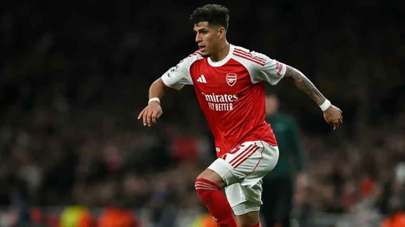 هينكابي: أرسنال لا ينخدع بـ"احتمالات الدوري".. والكأس هدفنا أمام سيتي