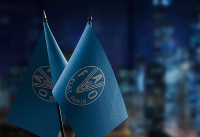 خبير بالفاو يحذّر من تداعيات خطيرة إذا طالت حرب إيران