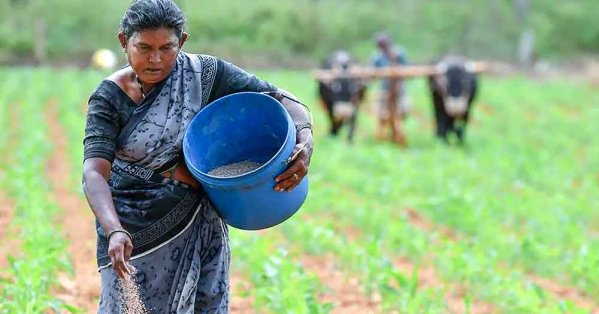 كيف تأثرت سلة الغذاء بالهند  من الأحداث الإقليمية الجارية؟