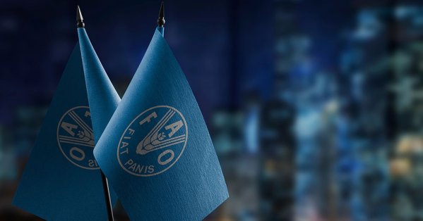 خبير بالفاو يحذّر من تداعيات خطيرة إذا طالت حرب إيران