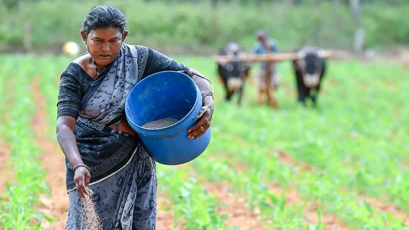 كيف تأثرت سلة الغذاء بالهند  من الأحداث الإقليمية الجارية؟