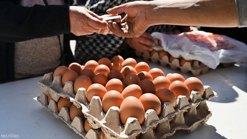 فيروس بيئي يهزم "السالمونيلا" ويعزز سلامة الغذاء