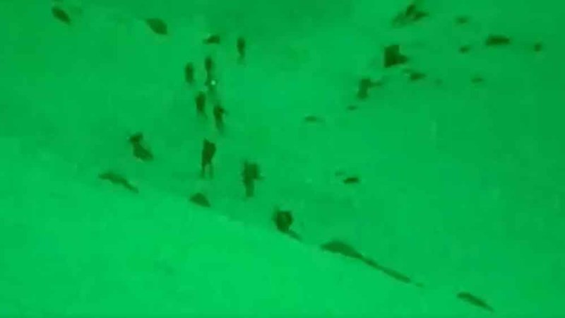 قوة إسرائيلية تعبر إلى لبنان عبر "جبل الشيخ" بسوريا